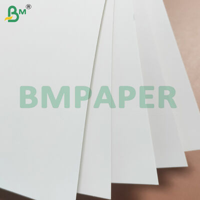Các tông cấp thực phẩm tráng phủ 280gsm + 10gsm PE để làm hộp thực phẩm