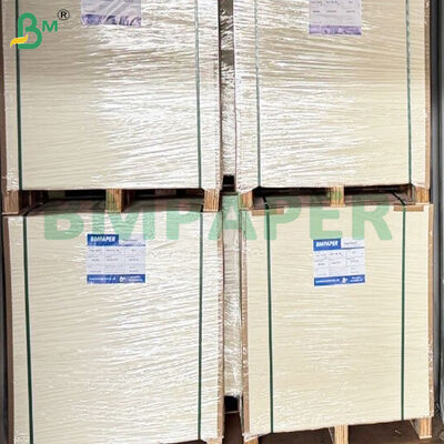 Các tông cấp thực phẩm tráng phủ 280gsm + 10gsm PE để làm hộp thực phẩm