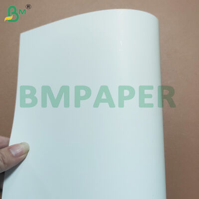 Các tông cấp thực phẩm tráng phủ 280gsm + 10gsm PE để làm hộp thực phẩm