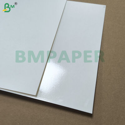 Giấy trắng phủ PET cho đĩa đồ ăn và đĩa chống nhiệt
