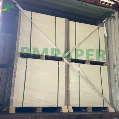 Giấy trắng phủ PET cho đĩa đồ ăn và đĩa chống nhiệt