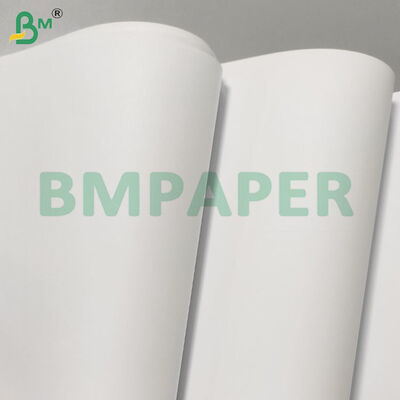Giấy không chứa gỗ 75gsm 500 tờ/Ream để in sách bài tập