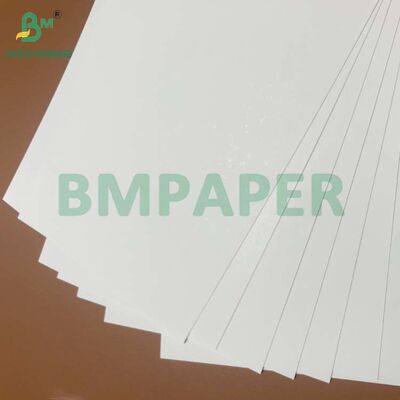 Bộ 6 Khảm chống mỡ 275g 300g cho đóng gói khoai tây chiên