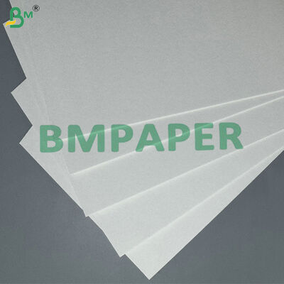 100% Bột gỗ tinh khiết 0,6mm 0,9mm Thủy hấp thụ Coaster Board cho Bia Mats ️ In & Biodegradable