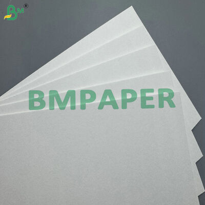 100% Bột gỗ tinh khiết 0,6mm 0,9mm Thủy hấp thụ Coaster Board cho Bia Mats ️ In & Biodegradable