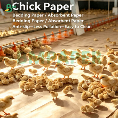 Lớp lót giấy kraft thấm hút cách ly mạnh mẽ dành cho chăn nuôi gia cầm non
