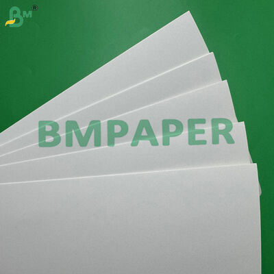 Giấy chống thấm và chống thấm C1S 275gsm + 15g PE tráng cho bao bì thực phẩm