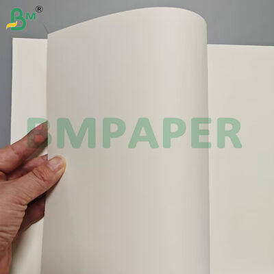Chất chứa thực phẩm loại thực phẩm Bảng giấy 190gsm + lớp phủ PE