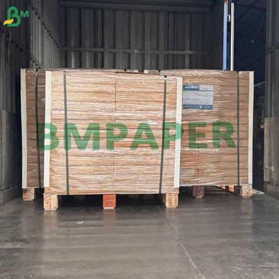 Giấy bìa trắng tráng PE có khả năng chống dầu mỡ cao