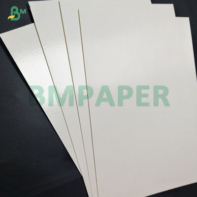 Giấy tráng PE không thấm nước 180–350gsm cho bát mì ăn liền dùng một lần