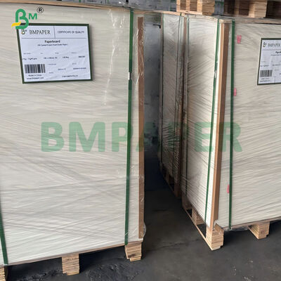 Giấy tráng PE không thấm nước 180–350gsm cho bát mì ăn liền dùng một lần