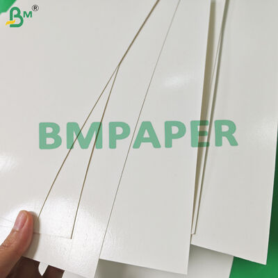 300gm + 15g PE phủ giấy hộp ăn trưa màu trắng để đóng gói thức ăn nhanh 400 x 500mm