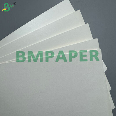 Giấy Cupstock PLA tráng 170-400 gsm có thể phân hủy sinh học cho cốc đồ uống nóng & lạnh