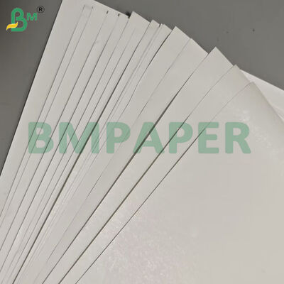 55gsm Custom Roll Width Thermal Paper Jumbo Rolls cho nhãn