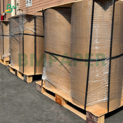 Giấy nền gấp nếp tái chế 2 lớp Giấy trắng