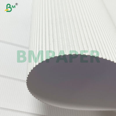 Giấy nền gấp nếp tái chế 2 lớp Giấy trắng