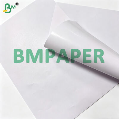 Giấy tráng bóng một mặt C1S 80gsm dùng cho bao bì ngoài túi trà