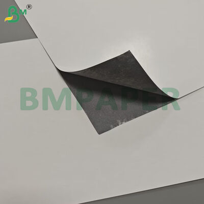 Giấy mỹ thuật cán bóng hai mặt lõi đen 320gsm