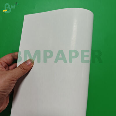 Giấy mỹ thuật cán bóng hai mặt lõi đen 320gsm