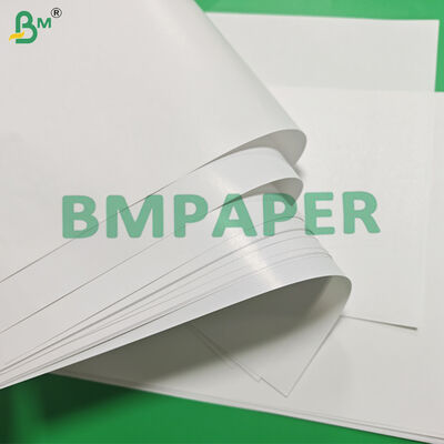 Giấy C1S Glossy định lượng 80gsm dùng cho bao thư ngoài túi trà kích thước 700 x 1000mm, độ trắng cao