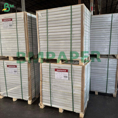 Giấy C1S Glossy định lượng 80gsm dùng cho bao thư ngoài túi trà kích thước 700 x 1000mm, độ trắng cao