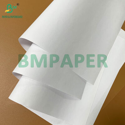 Giấy không tráng phủ gỗ 50gsm 53gsm 55gsm trắng sáng hai mặt