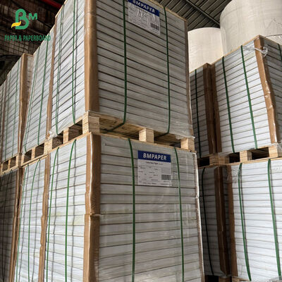 55gm 60gm 65gm Mực đen NCR kỹ thuật số giấy sao chép CB CFB CF 57cm X 87cm