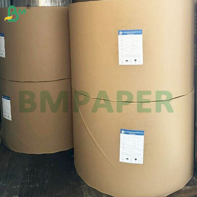 Cuộn giấy chống dầu mỡ 30/40gsm để gói thực phẩm có dầu