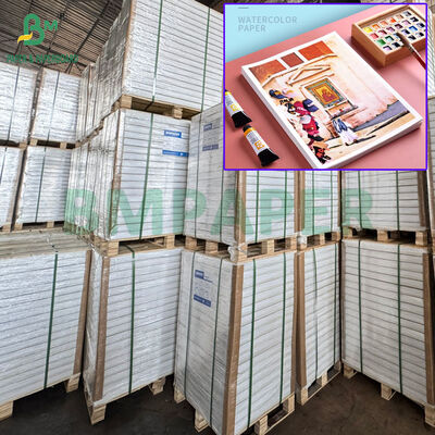 100% gỗ bột 300g giấy màu nước để vẽ 22 x 30 inch