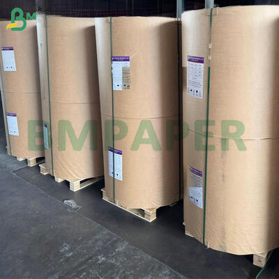 Giấy cuộn tráng silicon 2 mặt 50gsm dùng để hấp nướng